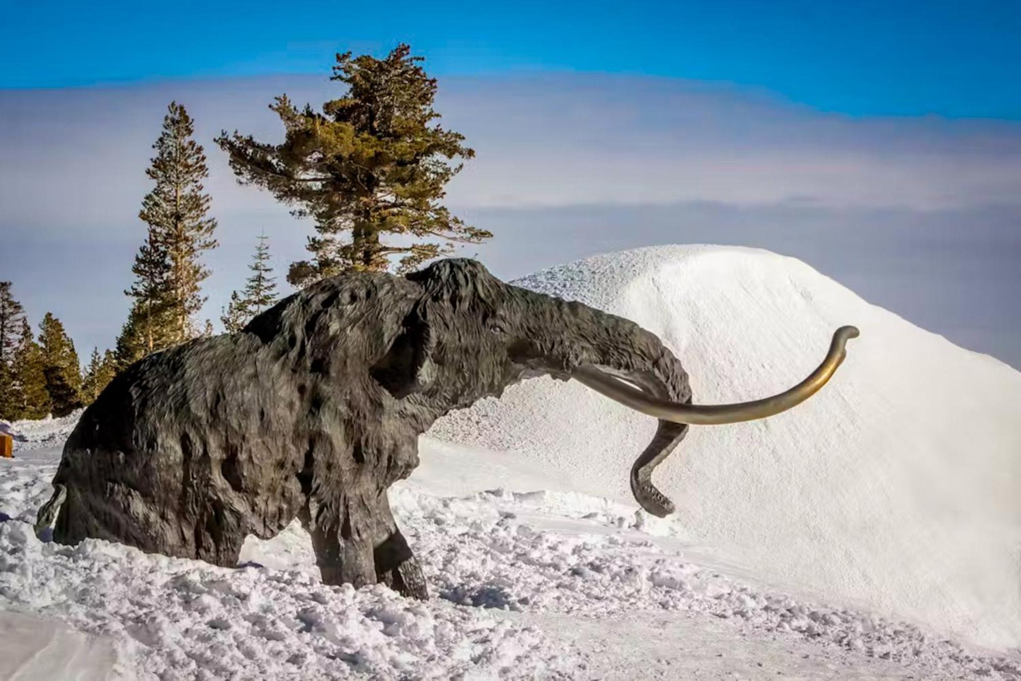 Appartamento La Vista Blanc 68 Mammoth Lakes Esterno foto